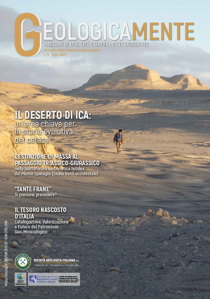 copertina n17